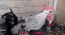 Are You Done?  GIF - GIFs
