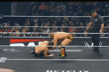 two wrestlers are in a wrestling ring with netflix written on the floor