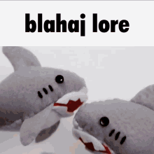 Blahaj Blahaj Lore GIF - Blahaj Blahaj Lore Shark GIFs