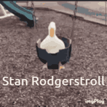 Rodgerstroll GIF - Rodgerstroll GIFs