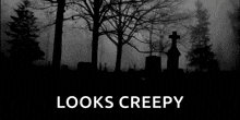 a cemetery with trees and graves in the fog and the words `` looks creepy '' .