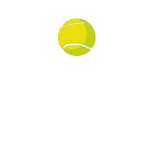 federer tennis