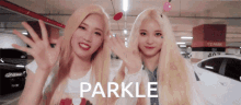 Parkle GIF - Parkle GIFs
