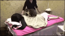 Cat Massage GIF - Cat Massage Relaxation GIFs