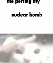 a person is petting a white cat with the words `` me petting my nuclear bomb '' .