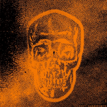 Cool Skull GIF - Cool Skull GIFs