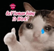 a cat with a tear coming out of its eye and the words gay human going to work