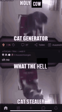 Cat Generator GIF - Cat Generator GIFs