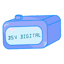 dsv digital
