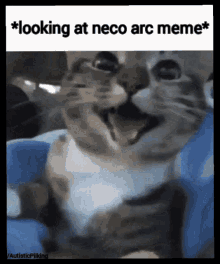 Happy Cat Neco Arc GIF - Happy Cat Neco Arc Cat Love GIFs