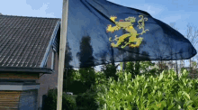 Brabant Harba Lorifa GIF - Brabant Harba Lorifa Flag GIFs