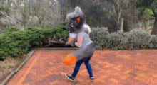 Cruise The Dingo Dingo GIF - Cruise The Dingo Dingo Lupesuit GIFs