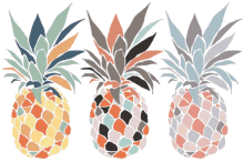 three pineapple