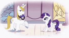 two ponies standing next to each other with one wearing a scarf