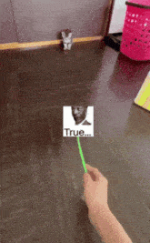a person is holding a stick with a picture of a man on it and the word true on it