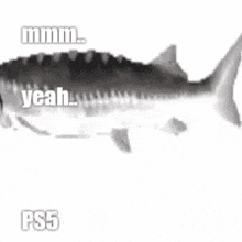 a black and white photo of a fish with the words yeah and ps5 written on it