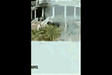 Inflated Morph GIF - Inflated Morph Shapeshift GIFs