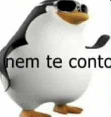 a penguin wearing sunglasses is standing in front of a white background and says nem te conto .