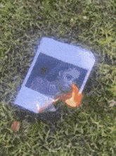 a polaroid picture of ariana grande is being burned in the grass .