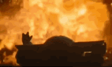 GIF