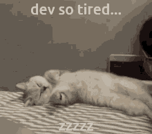 Hi Dev Zzzz GIF - Hi Dev Zzzz Cat Sleepy GIFs
