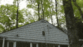 Roofing Roof Inspection GIF - Roofing Roof Inspection Dog On Roof GIFs