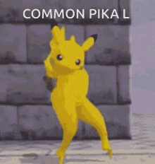 Common Pika GIF - Common Pika GIFs