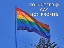 a rainbow flag is flying in the wind with the words volunteer @ gay non profits above it