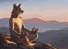 Meditation Wolf GIF - Meditation Wolf Alpha Wolf GIFs