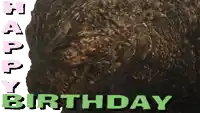 a birthday card that says happy birthday in green