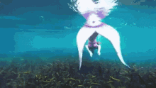 Mermaid Siren GIF - Mermaid Siren GIFs