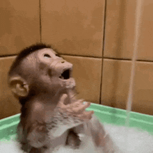 a baby monkey is taking a bath in a tub