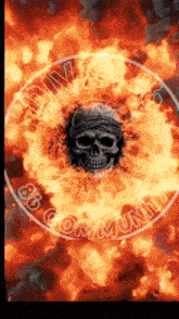 a picture of a skull in a circle of flames that says ' community '