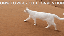 Feet Fetish GIF - Feet Fetish Ziggy GIFs