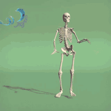 ვაჯაზებთ Skeleton GIF