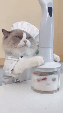 crushing the food puff meow chef that little puff mixing it all together