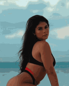 Amanda Trivizas Sexy GIF - Amanda Trivizas Sexy Beach GIFs