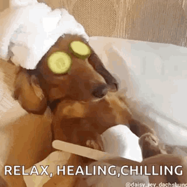 Relaxation GIFs | Tenor
