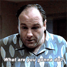 The Sopranos Tony Soprano GIF - The Sopranos Tony Soprano What Are You Gonna Do GIFs