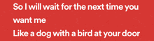 a red background with the words so i will wait for the next time you want me like a dog with a bird at your door in white letters