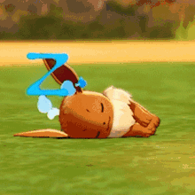 Pokemon Sleep GIF - Pokemon Sleep Eevee GIFs