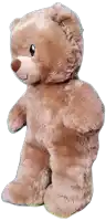 a brown teddy bear is standing upright with its arms outstretched