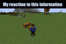 My Honest Reaction My Reaction To That Information GIF - My Honest Reaction My Reaction To That Information Minecraft GIFs