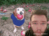a dog with a red ball in its mouth next to a man with a beard