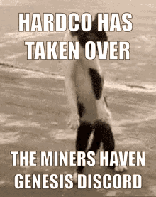 Miners Haven Mhg GIF - Miners Haven Mhg Miners GIFs
