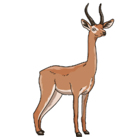 Antelope Gerenuk Sticker - Antelope Gerenuk Stickers