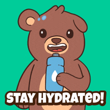 a cartoon bear holding a water bottle with the words stay hydrated