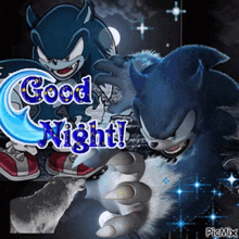 a sonic the hedgehog and a werewolf are saying good night
