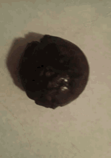 Double Chocolate Muffin Muffin GIF - Double Chocolate Muffin Muffin Baked Goods GIFs
