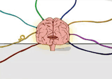 a cartoon drawing of a brain with colored wires coming out of it ..